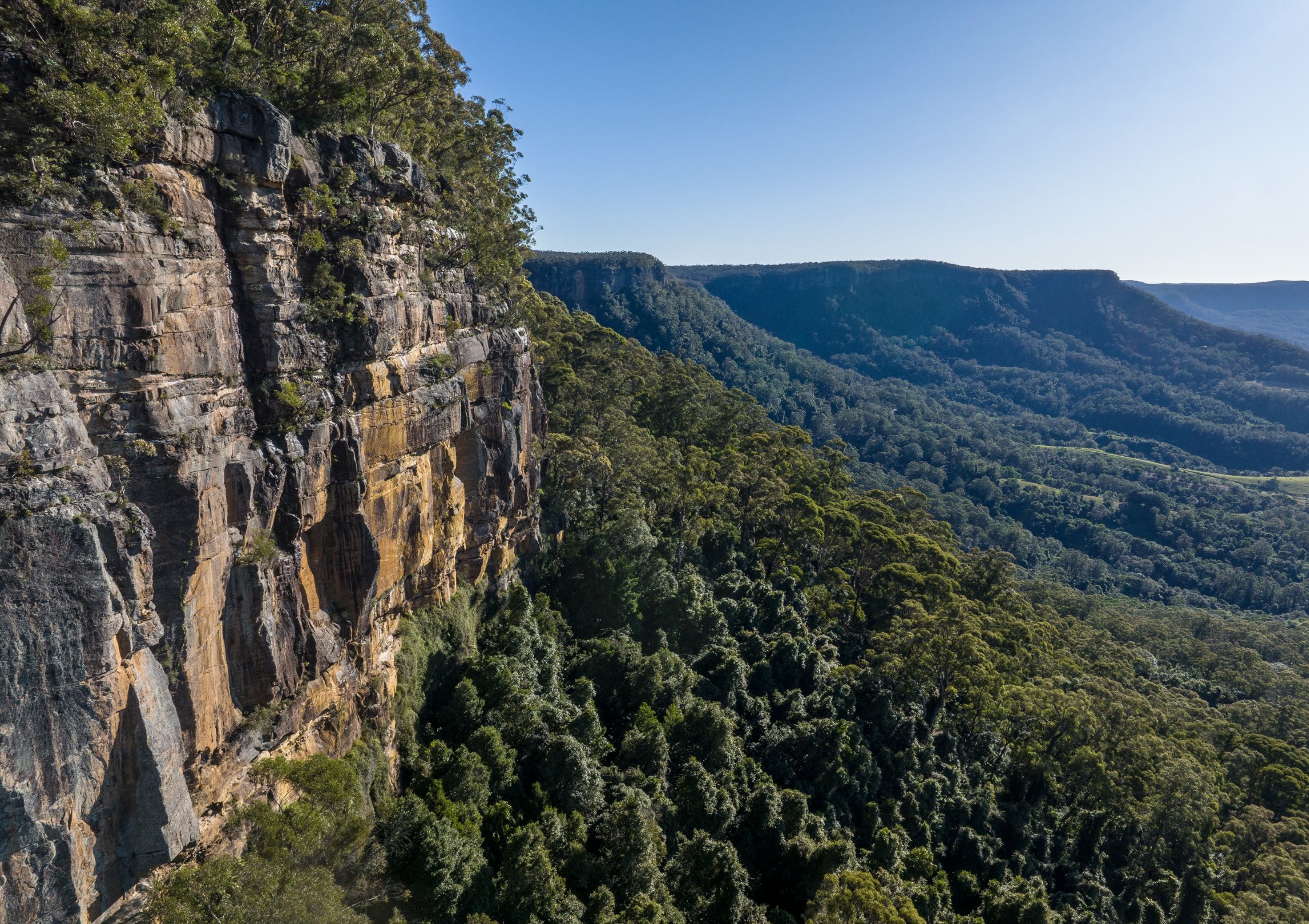 Illawarra escarpment cliff