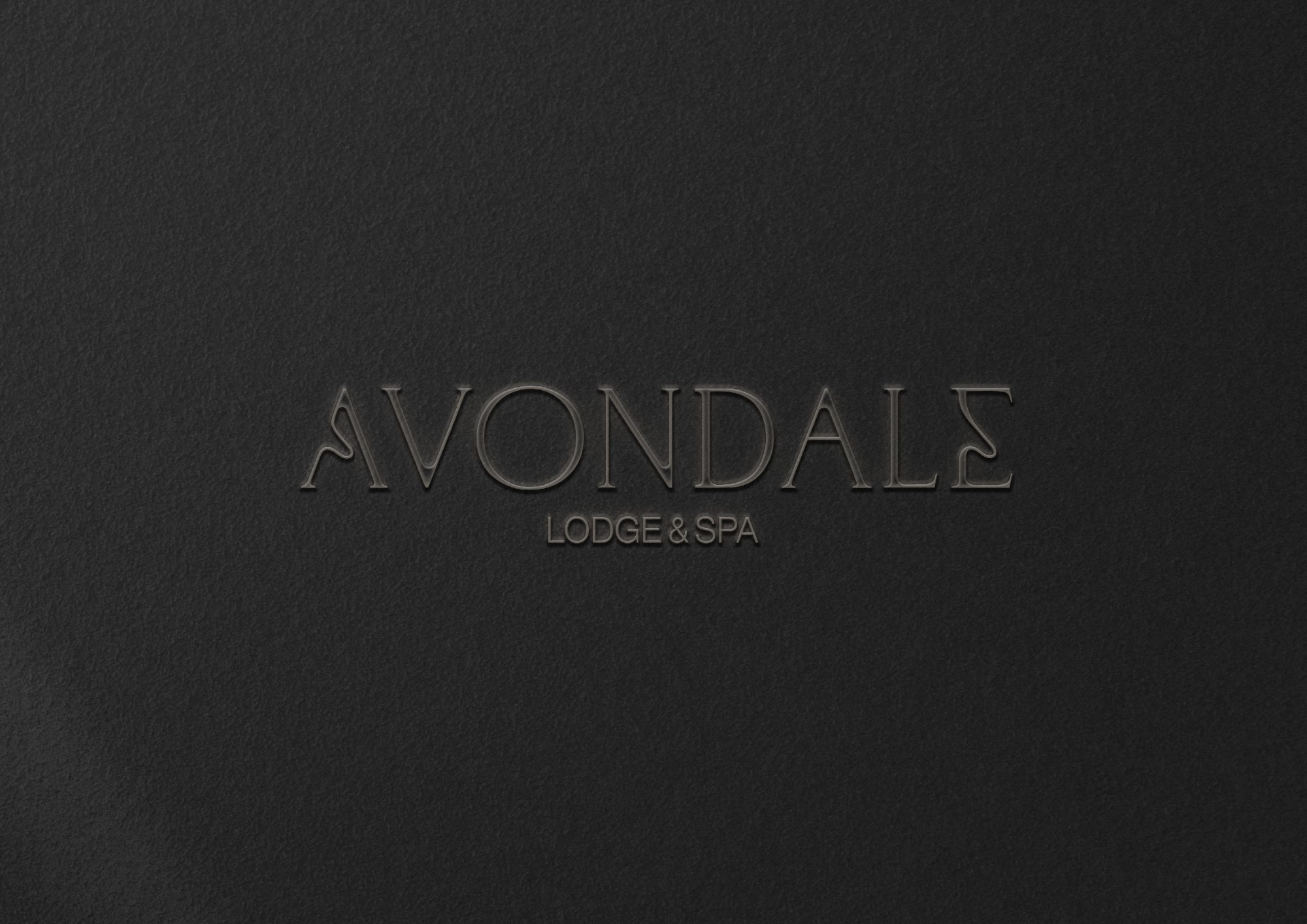 Avondale welcome folder